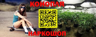 Альфа ПВП Лесосибирск